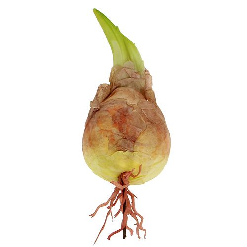 Floristik24 Dekorativ løkpære 7-10cm 9stk