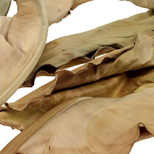 Floristik24 Dekorative blader natur 120cm 20 stk