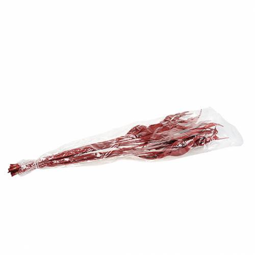 Floristik24 Dekorblader Strelitzia rød 85-105cm 10 stk