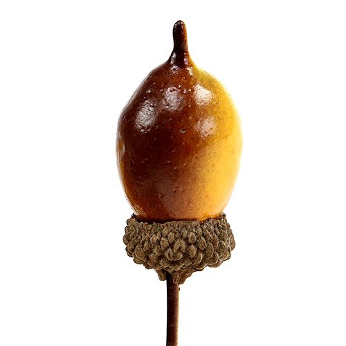 Floristik24 Dekorativ eikenøtt på tråd 4cm L12cm 36stk