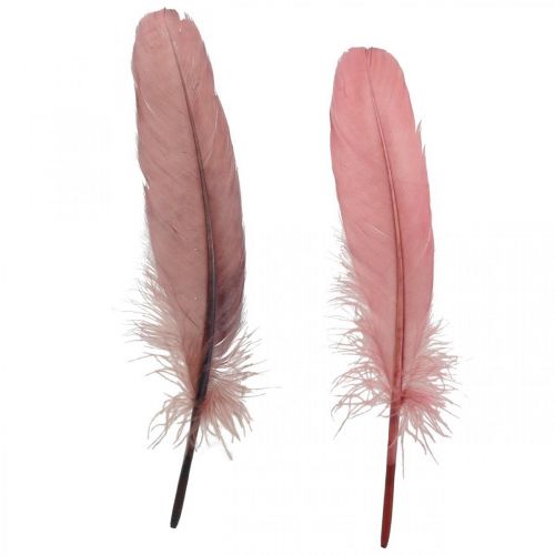 Dekorative fjær for håndverk Dusky rosa ekte fuglefjær 20g