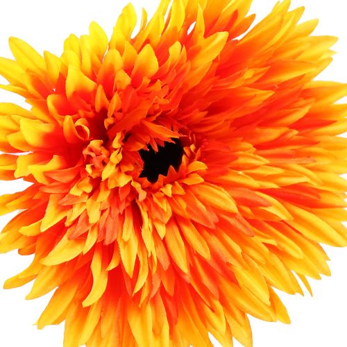 Floristik24 Deco gerbera oransje Ø15cm L88cm