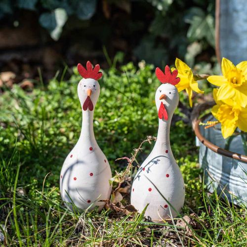 Floristik24 Dekorativ kyllingved hvit med prikker påskefigur Ø7cm H20cm