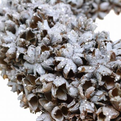 Floristik24 Dekorativ krans stjerneanis med glittervasket hvit Ø20cm