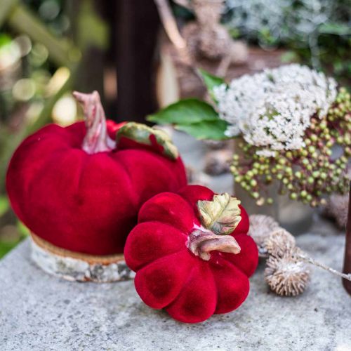 Floristik24 Deco gresskarrød borddekorasjon høst polyresin 10,5×9cm 2stk