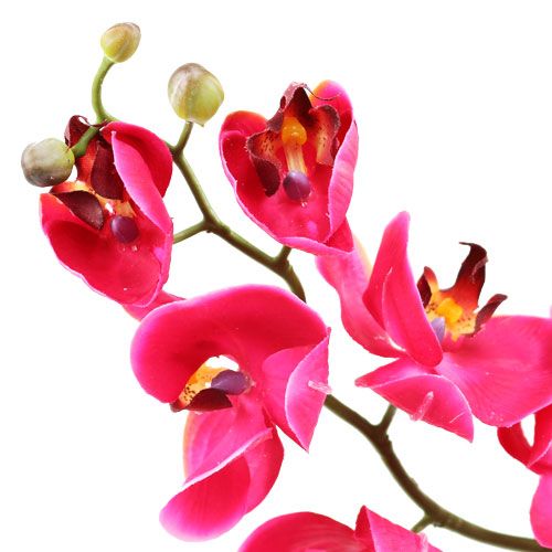 gjenstander Dekorativ orkide i fuchsia 77cm