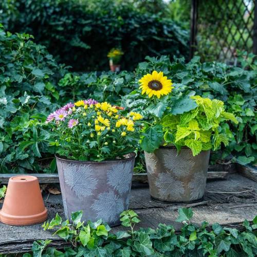 Floristik24 Dekorativ plantepotte med blader sink metallic grå, oransje, brun Ø26cmH22cm 3stk