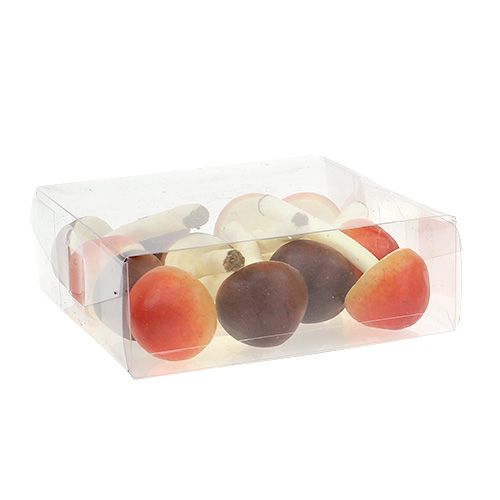 Floristik24 Deco sopp brun, oransje 9cm 12stk