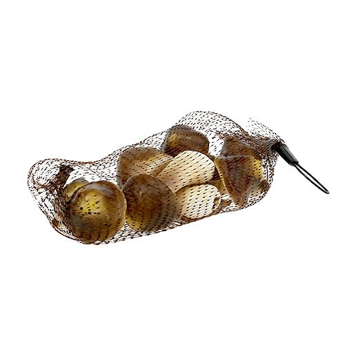 Floristik24 Dekorative sopp i nettet 5-8cm diverse. brun 8stk