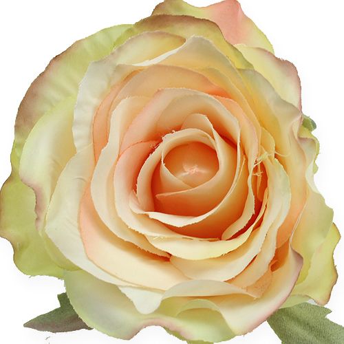 Floristik24 Kunstige rosehoder Ø9cm 6stk