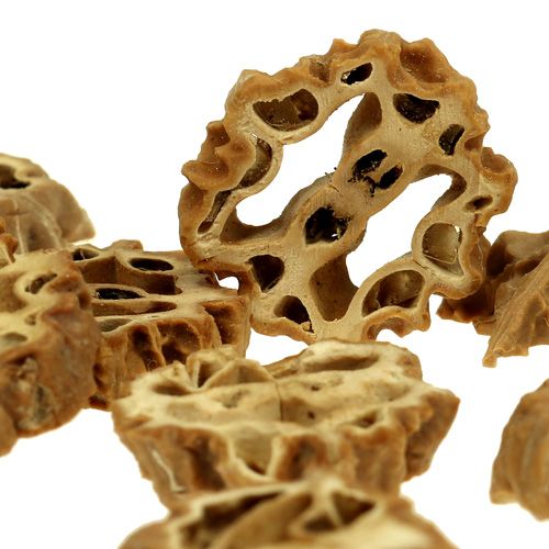 Floristik24 Skiver av nøtter 2cm naturlig 250g