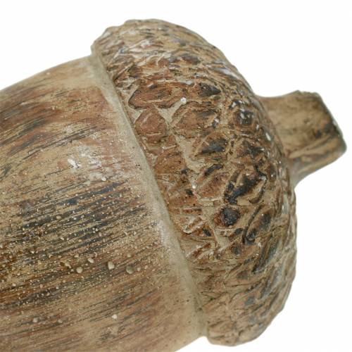 Floristik24 Dekorativ figur ekorn brun 11cm x 8cm x 7cm 3stk