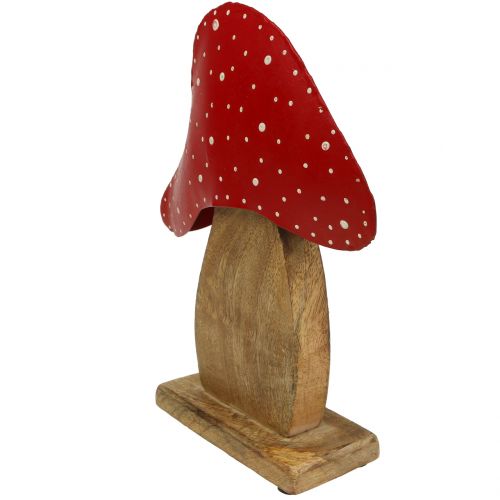 Floristik24 Pynteskikk toadstool natur, rød 25cm