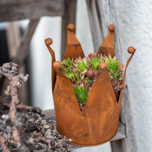 Floristik24 Dekorativ krone, metalldekor, patina Ø15cm H11,5cm