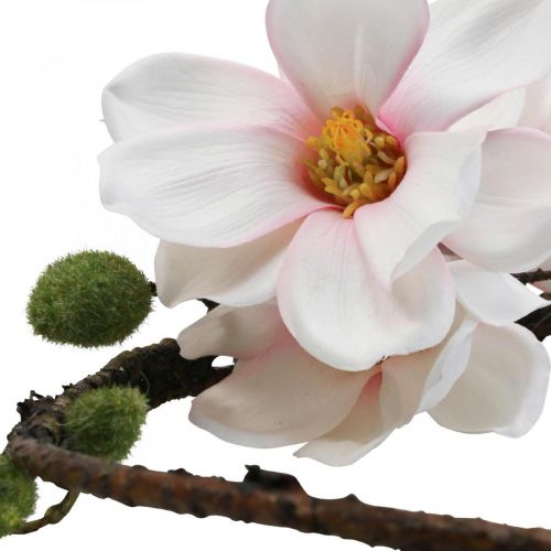 Floristik24 Dekorativ ring kunstig magnolia vårdekor for oppheng Ø24cm
