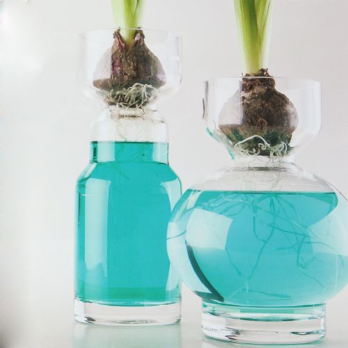 Floristik24 Dekorativ vannblå 150ml