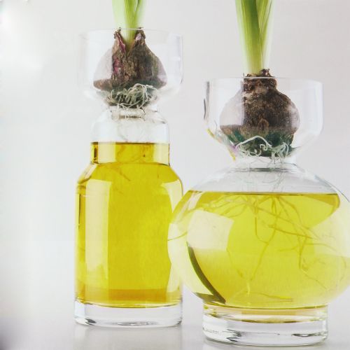 Floristik24 Dekorativt vanngult 150ml