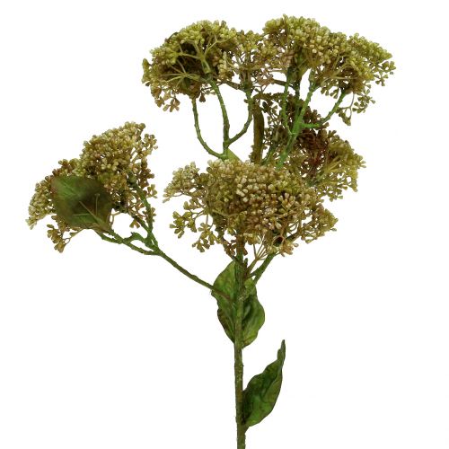 gjenstander Dekorativ gren sedum plante grønn 58cm