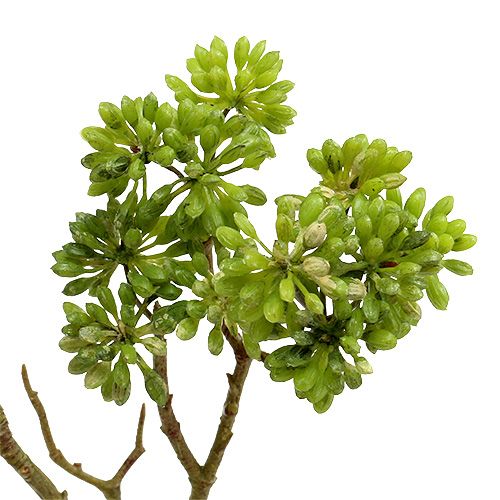 Floristik24 Deco gren grønn 80cm