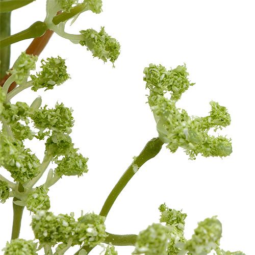 Floristik24 Dekorativ gren grønn L43cm 4stk