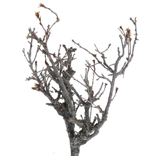 gjenstander Deco greiner bonsai tre Deco greiner 15-30cm 650g