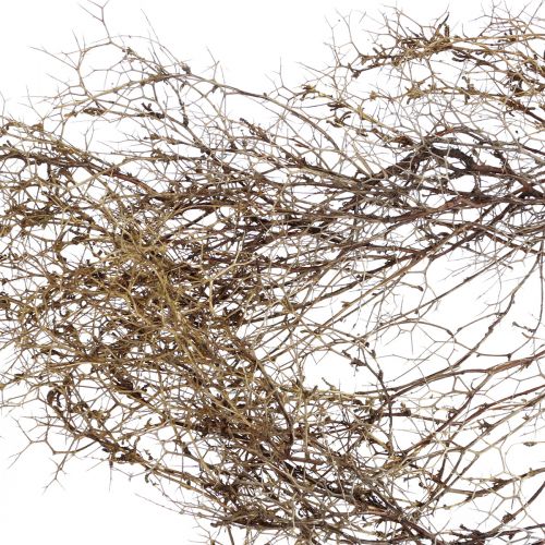 Floristik24 Deco greiner Jern Bush greiner naturlig dekorasjon tre natur 250g
