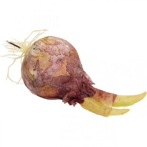 Floristik24 Deco løk med røtter kunstige grønnsaker 7,5/10cm 9stk