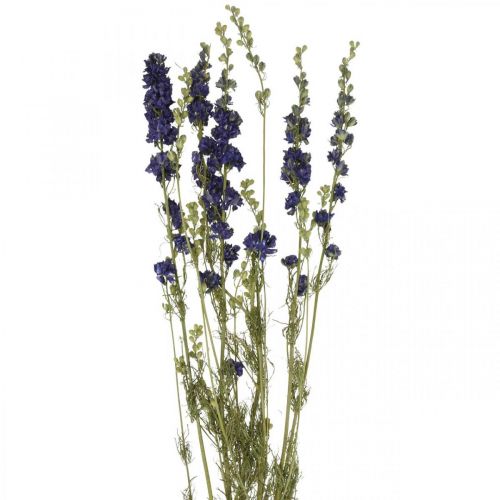 gjenstander Tørket delphinium, tørr blomsterdekor, delphinium blå L64cm 25g