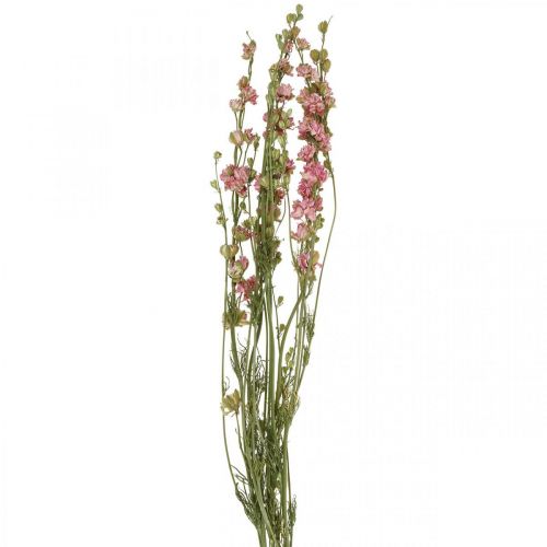 gjenstander Tørket blomst delphinium, Delphinium rosa, tørr blomster L64cm 25g