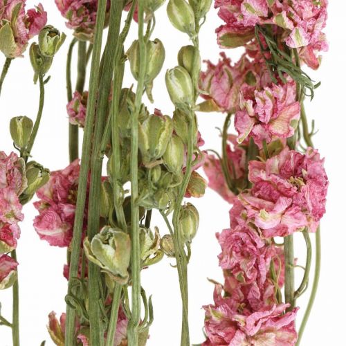 gjenstander Tørket (kunstig) Delphinium rosa ridderspore, dekorativ blomstervase 64 cm 25 g