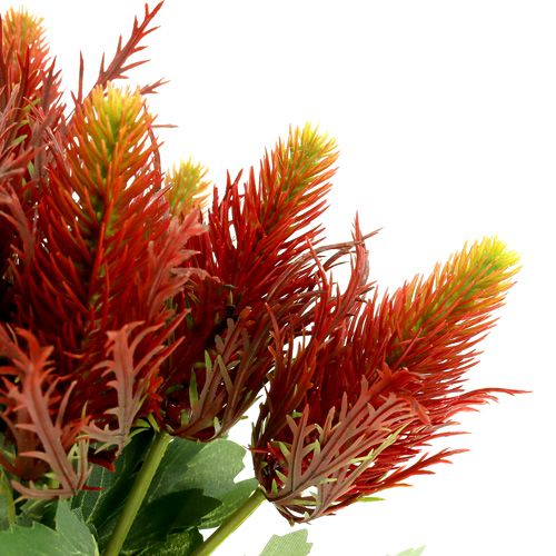 Floristik24 Tistel rødgrønn 20cm 12stk