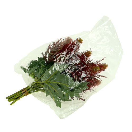 Floristik24 Tistel rødgrønn 20cm 12stk