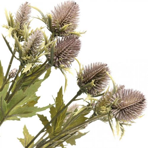 Floristik24 Kunstig tistel lilla gren 10 blomsterhoder 68cm 3stk