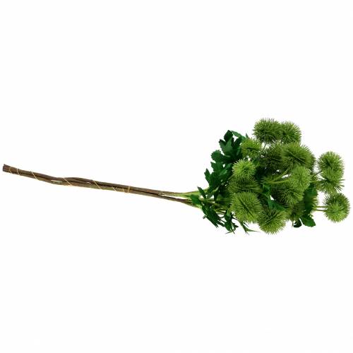 Floristik24 Tistelsilkeblomst grønn 56cm 3stk