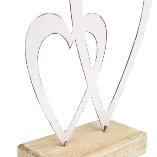 Floristik24 Dobbelt hjertehvit ved foten H18cm