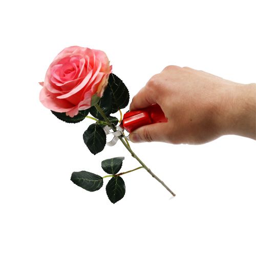 Floristik24 Rose dethorner