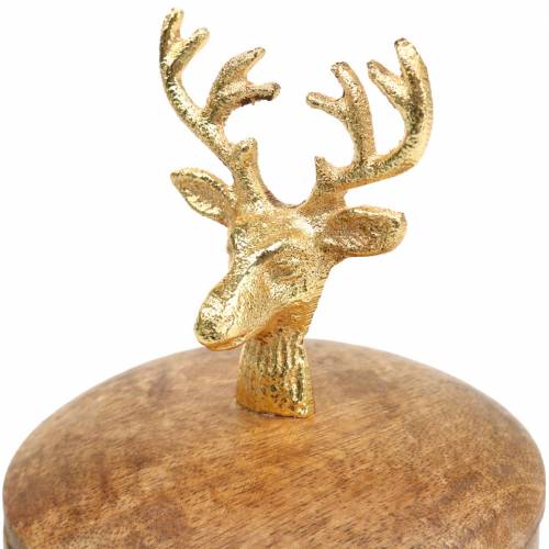 Floristik24 Kasse med mangotre med hjortehode gylden Ø10cm H15cm