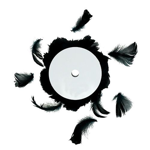 Floristik24 Ledning med fjærsvart 10m