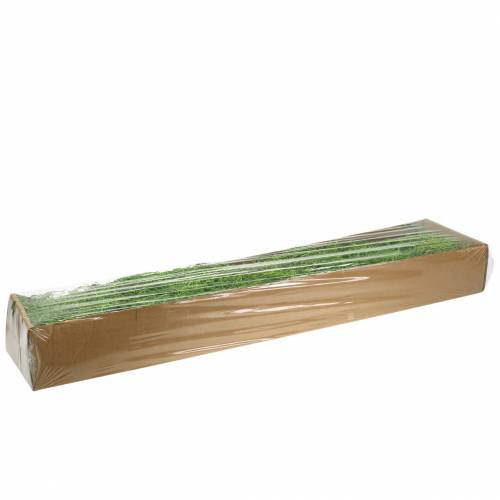 Floristik24 Jungelmose vårgrønn 250g