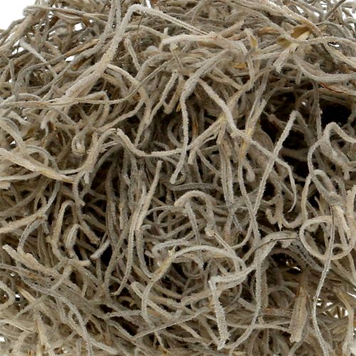 Floristik24 Jungelmose naturlig 250g