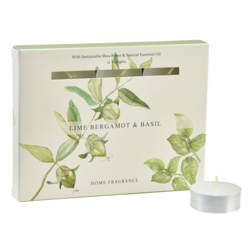 Floristik24 Duftlys lime bergamot basilikum Ø3,5cm 12 stk