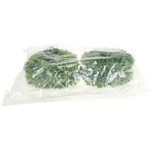 Floristik24 Echeveria krans grønn Ø18cm 4stk