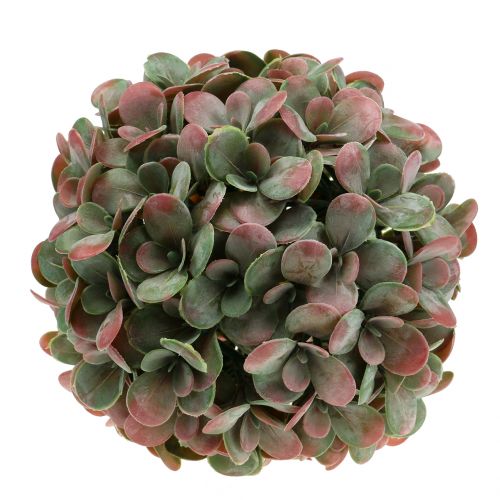 Floristik24 Echeveria ball kunstgrønn, rød Ø22cm