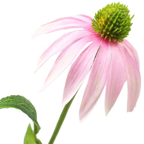 Floristik24 Echinacea blomst kunstig lys rosa 90cm