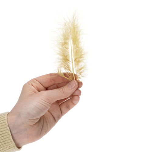 gjenstander Ekte fjær til hobbyarbeid i lysegult, 5 cm–10 cm, 20 g