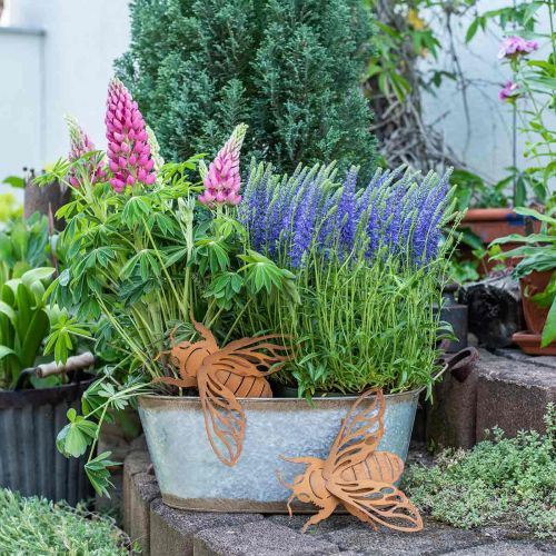 Floristik24 Patina hagedekor bie L15cm