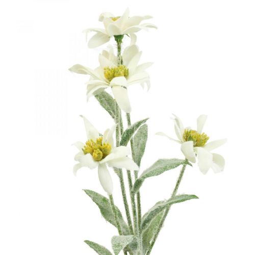 Edelweiss kunstig blomst hvit flokket 38cm