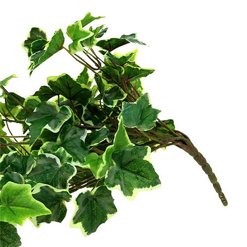 Floristik24 Eføyhenger 80cm hvit-grønn