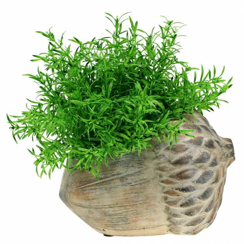 Floristik24 Planter betong eikenøtt 21,5cm × 14cm H9,5cm