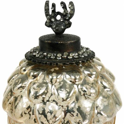 Floristik24 Dekorativ eikenøtt for hengende glass 15cm champagne 2stk i et sett